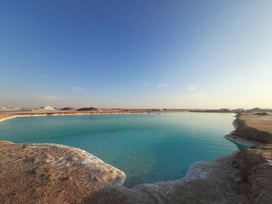 Excursion d'une journée à l'oasis de Siwa au départ d'El-Alamain avec déjeuner local
