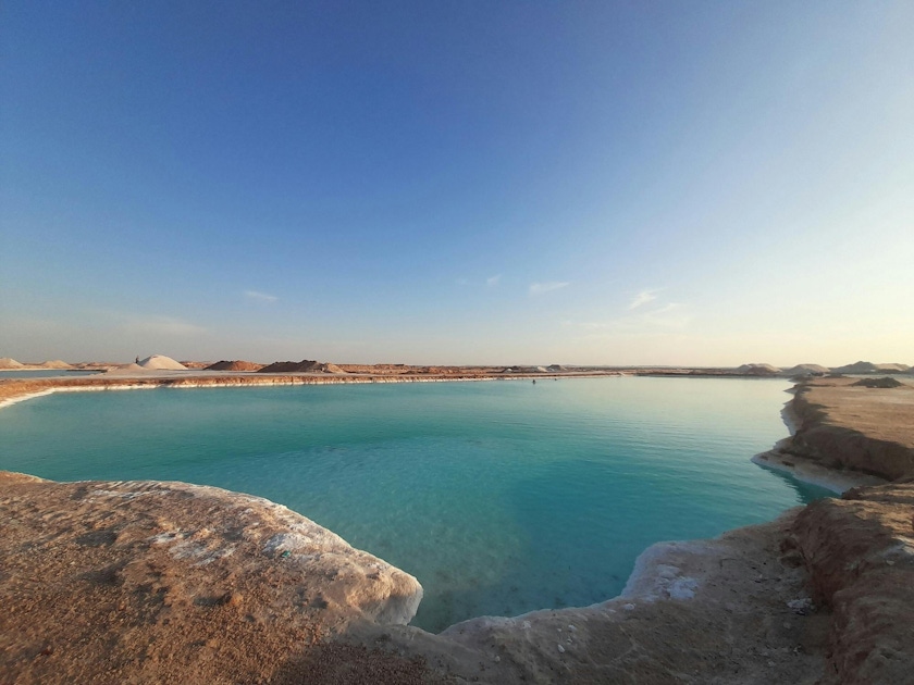 Nature in New El-Alamein City Nature in New El-Alamein City