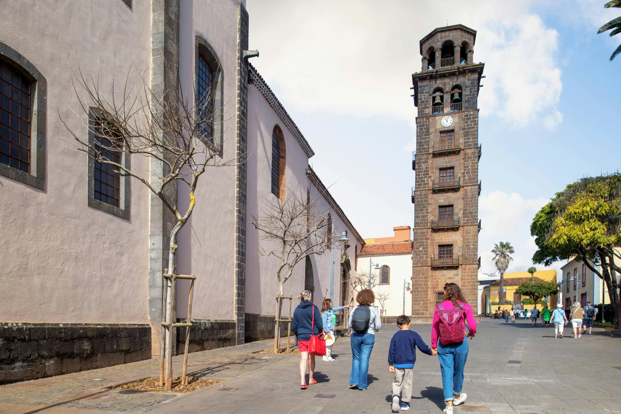 Full Day Tenerife Tour with La Laguna and Lunch