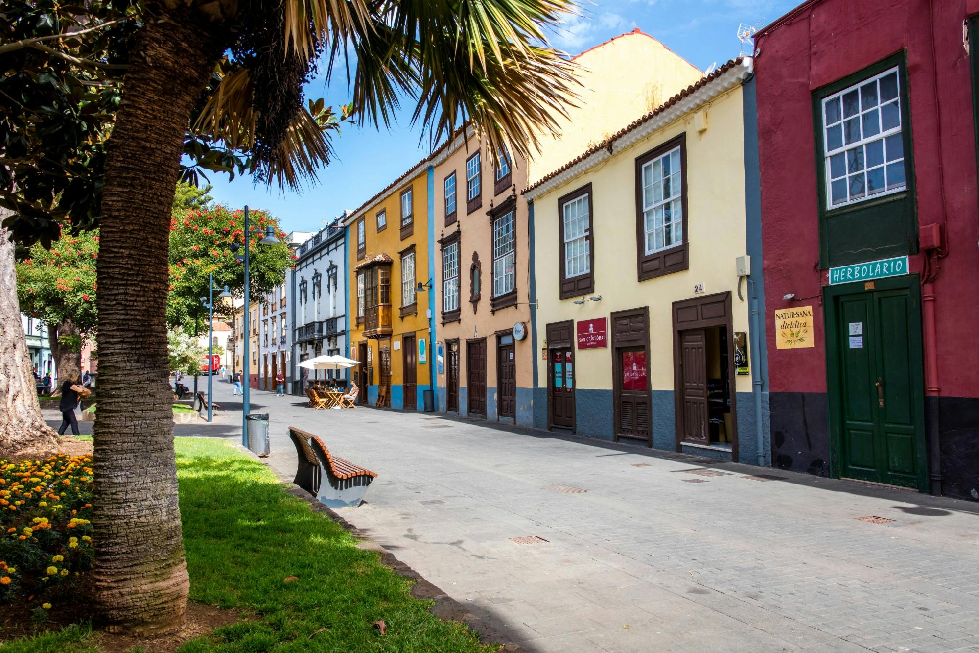 Full Day Tenerife Tour with La Laguna and Lunch