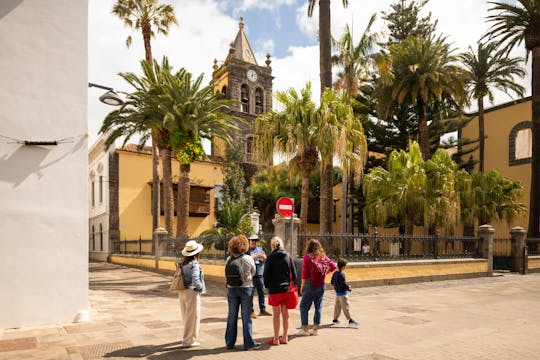 Tour di Tenerife di un giorno intero con La Laguna e pranzo
