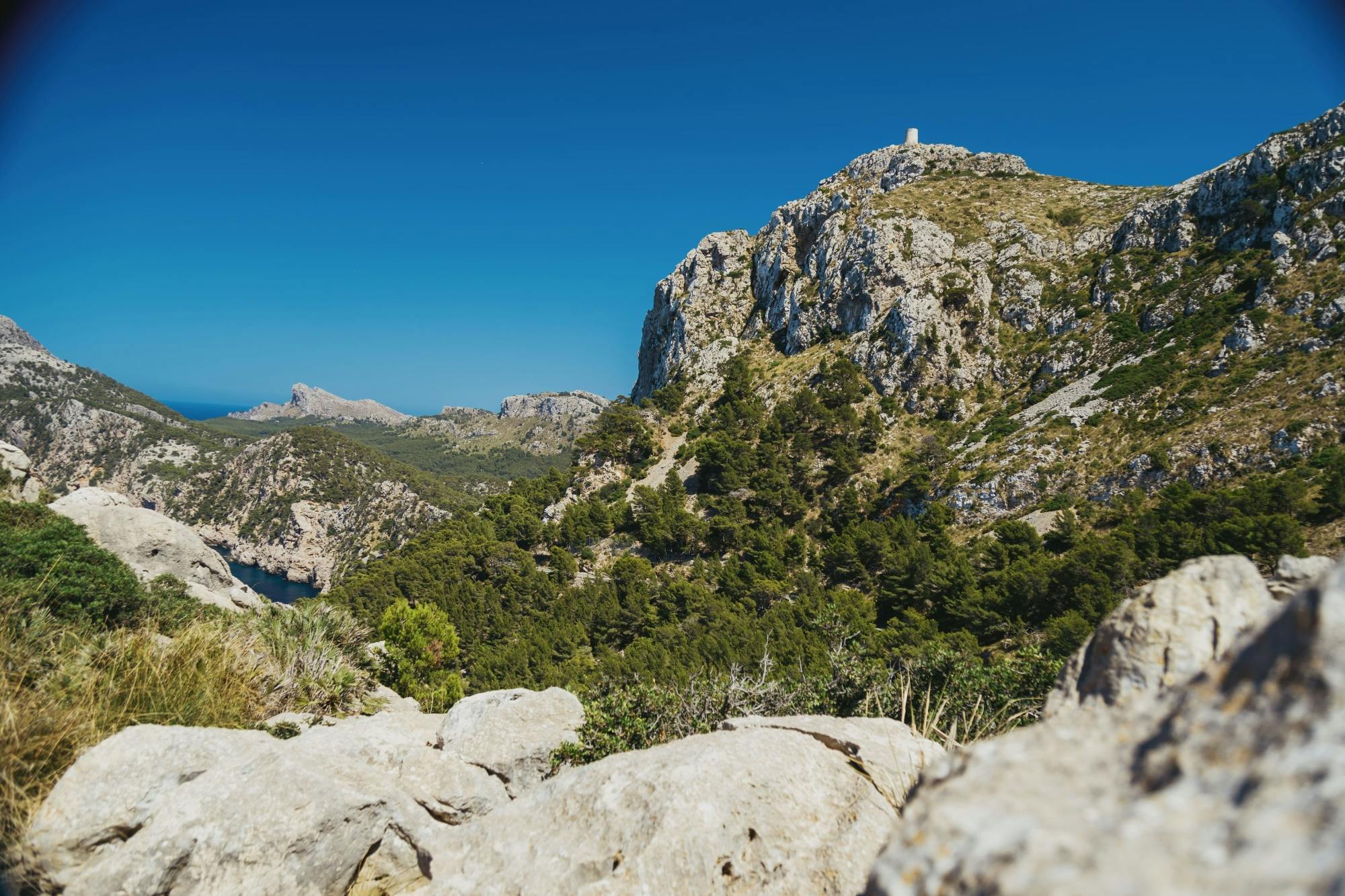 Sites & Bites: Es Colomer, Alcudia Market and Ensaimada tasting