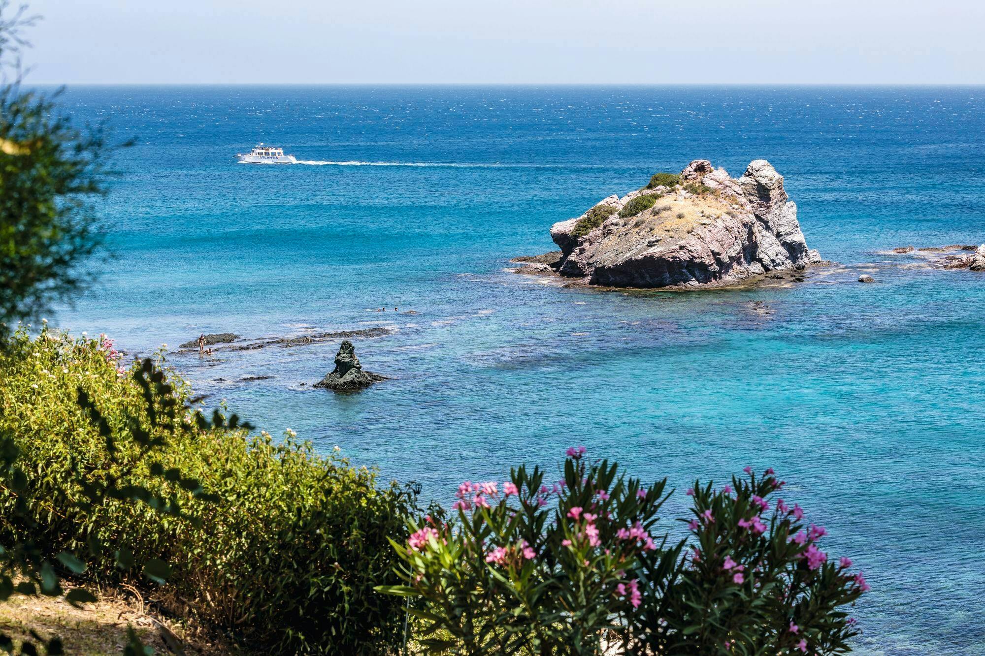 Pafos Zoo Visit & Blue Lagoon Cruise with Local Guide