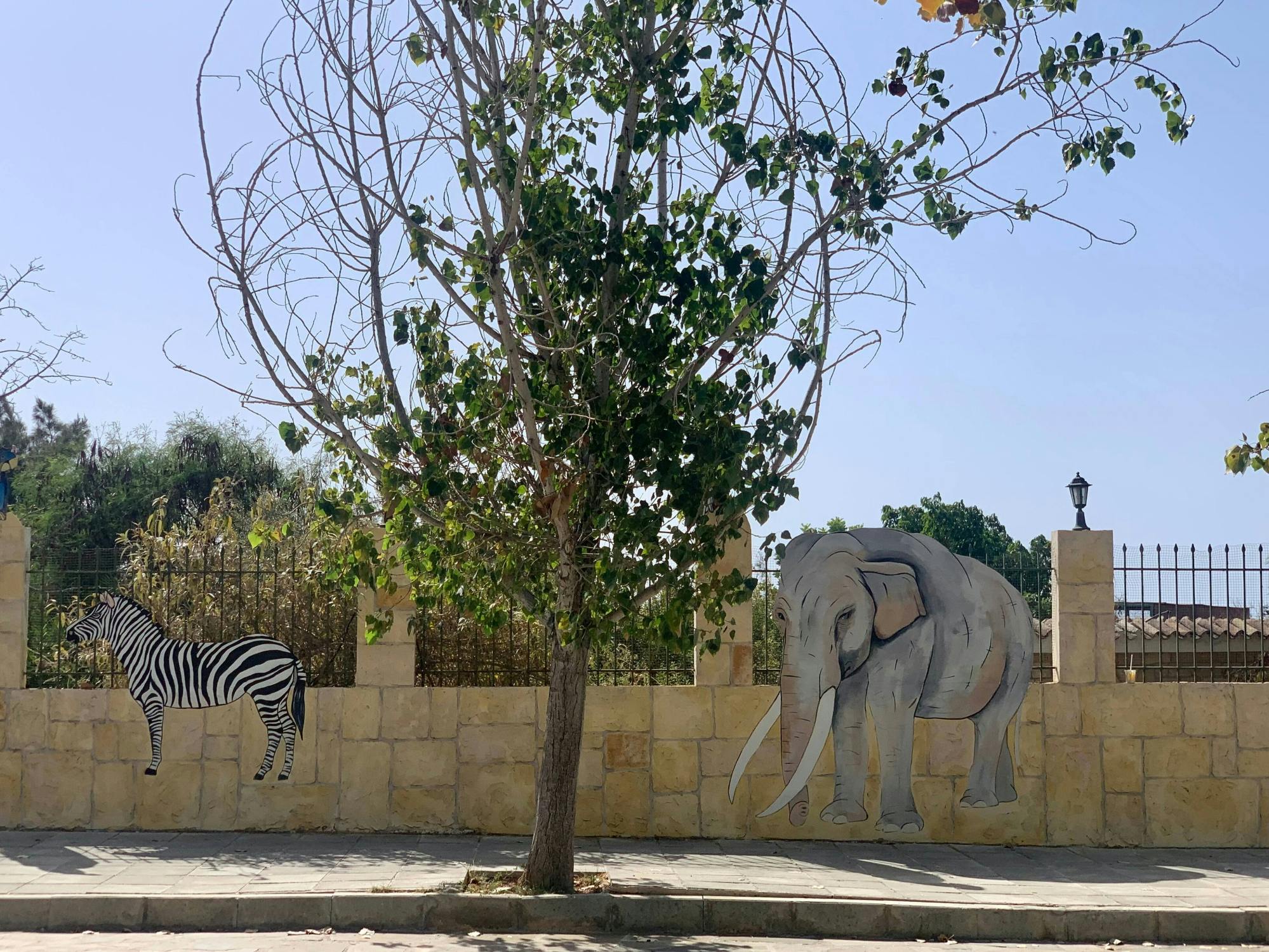 Pafos Zoo Visit & Blue Lagoon Cruise with Local Guide