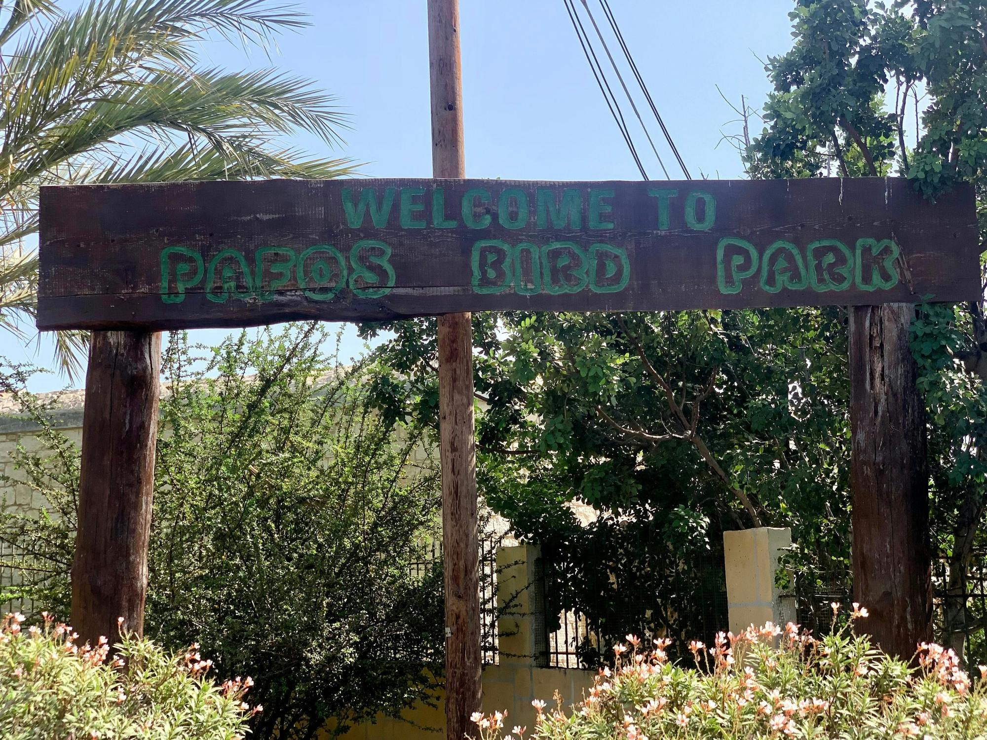 Pafos Zoo Visit & Blue Lagoon Cruise with Local Guide