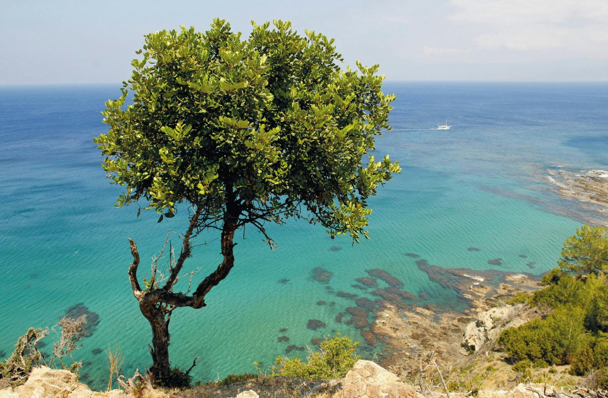 Pafos Zoo Visit & Blue Lagoon Cruise with Local Guide