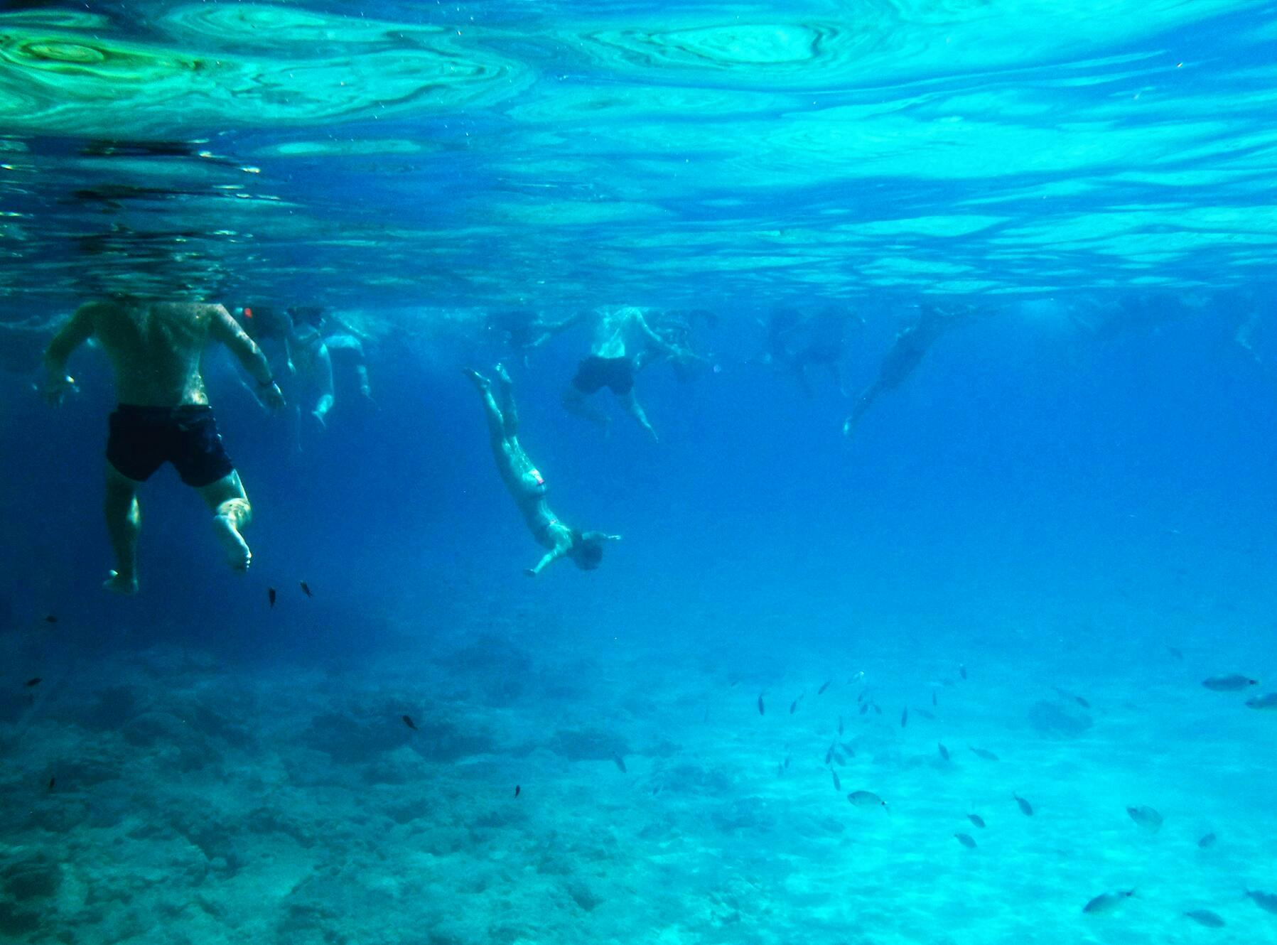 Pafos Zoo Visit & Blue Lagoon Cruise with Local Guide