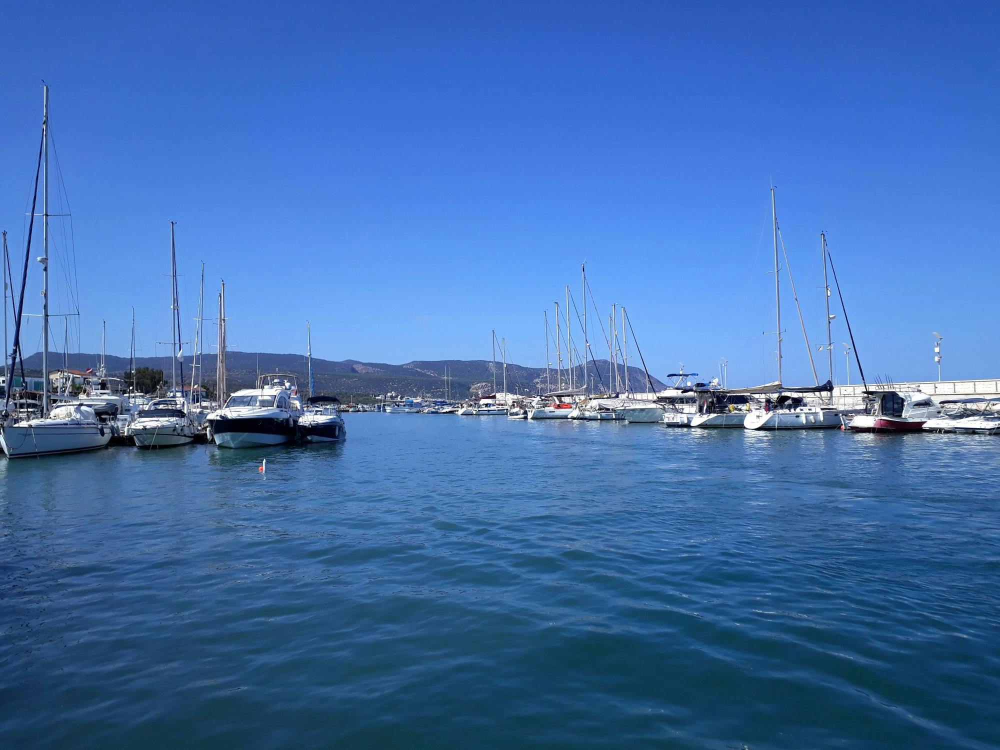 Pafos Zoo Visit & Blue Lagoon Cruise with Local Guide