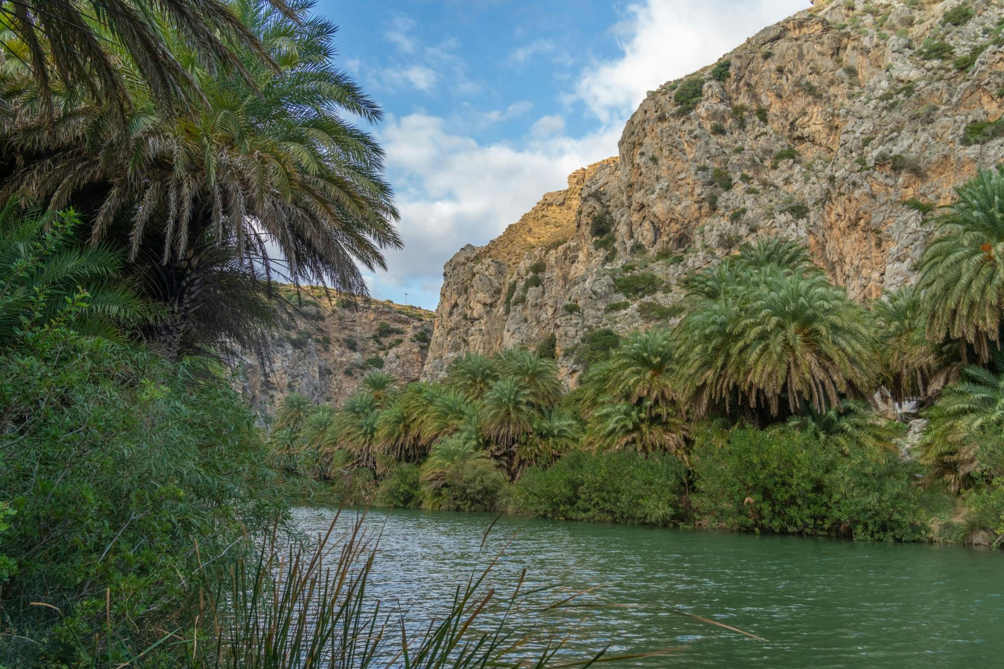 Guided tour to Preveli Palm Beach by boat with taverna lunch