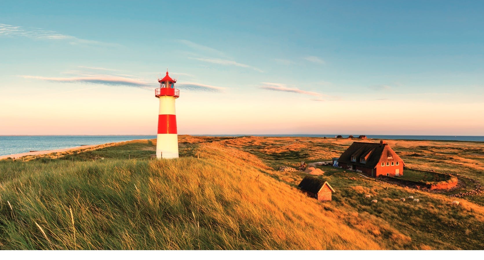 Bootsausflug zu den Seehunden ab Hörnum auf Sylt