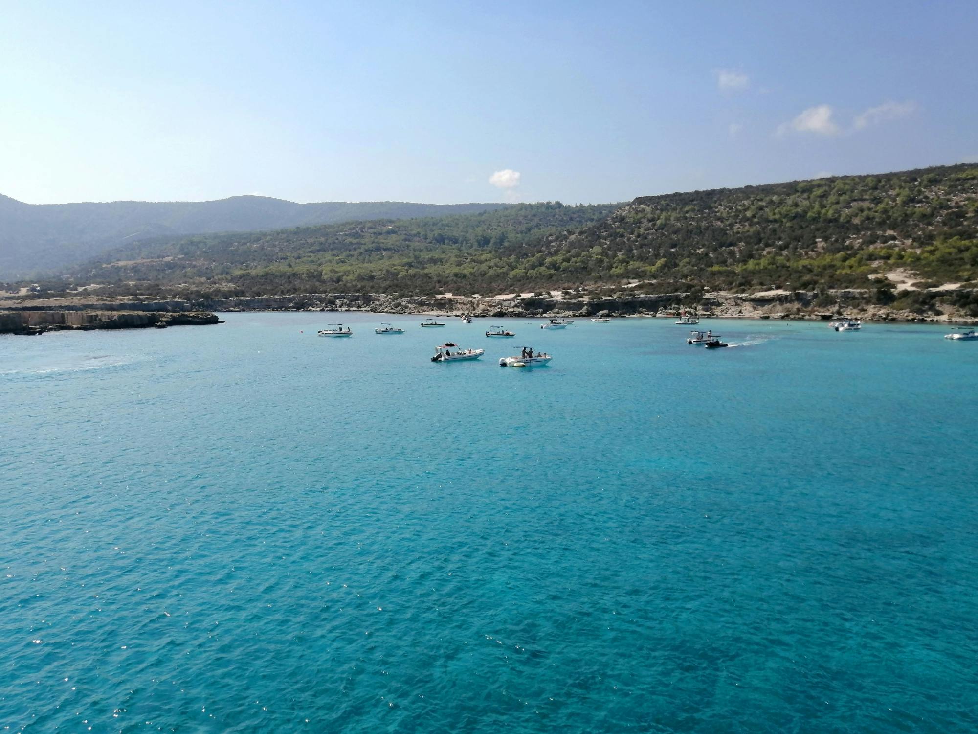 Pafos Zoo Visit & Blue Lagoon Cruise with Local Guide