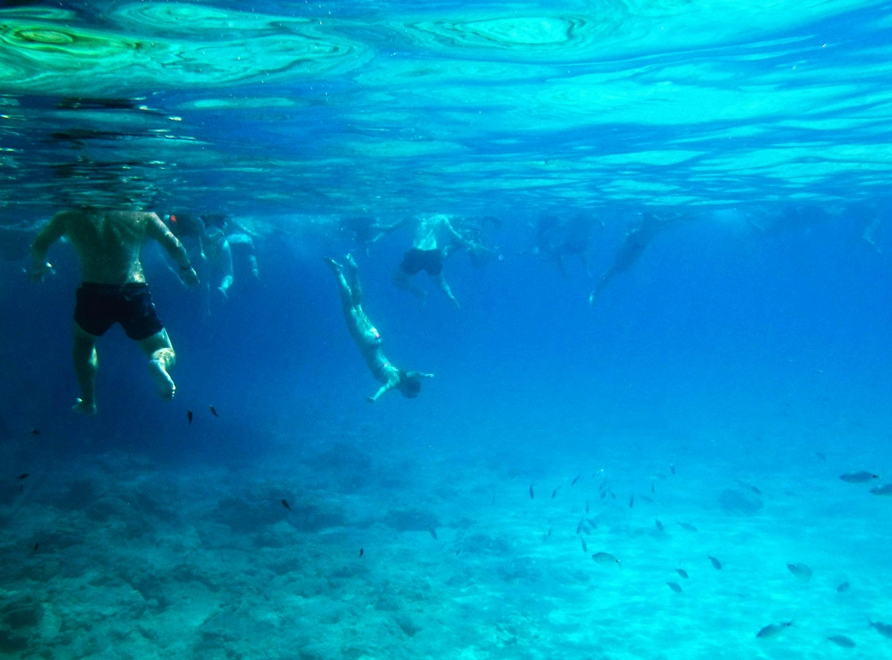 Pafos Zoo Visit & Blue Lagoon Cruise with Local Guide