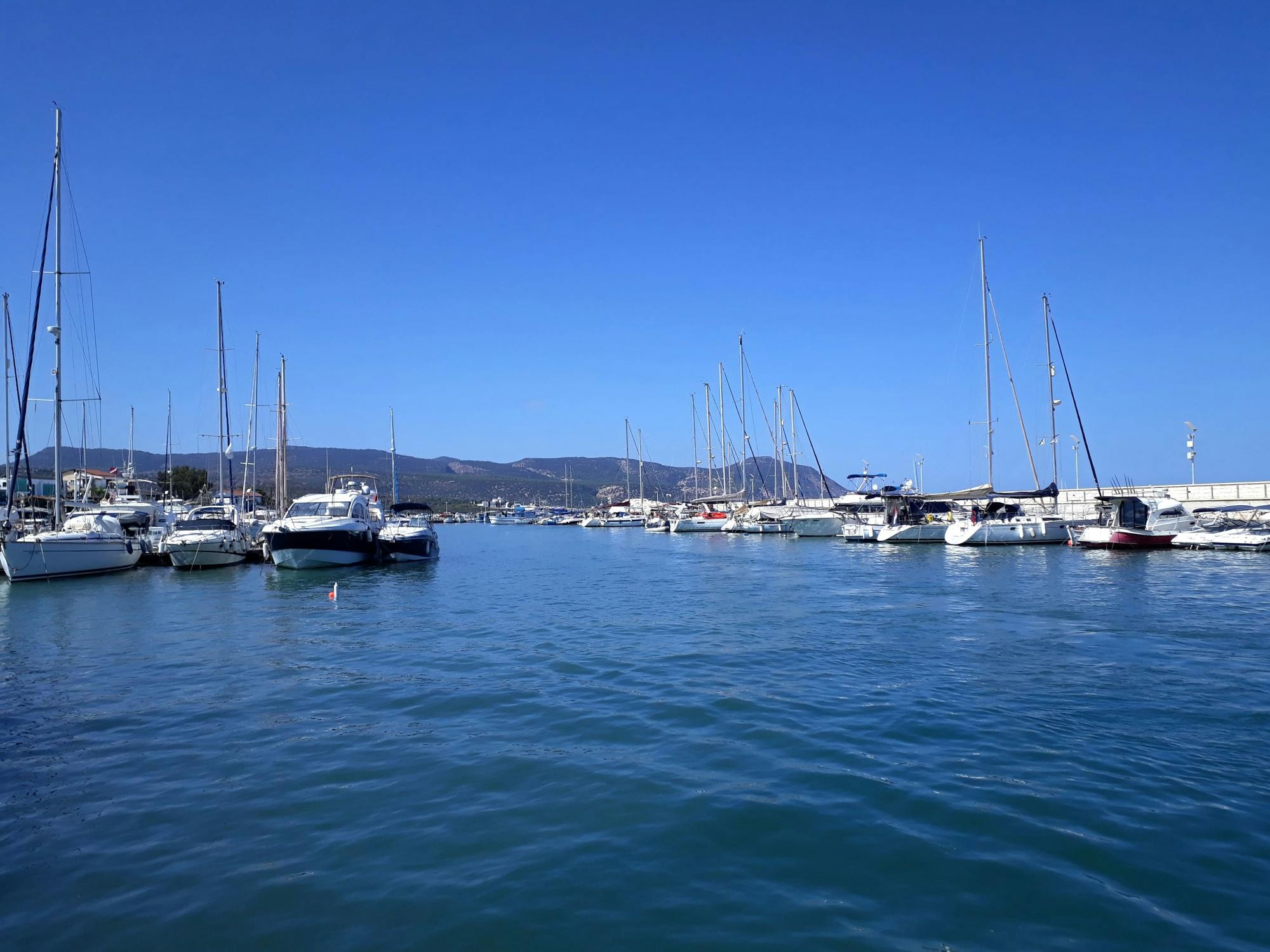 Pafos Zoo Visit & Blue Lagoon Cruise with Local Guide