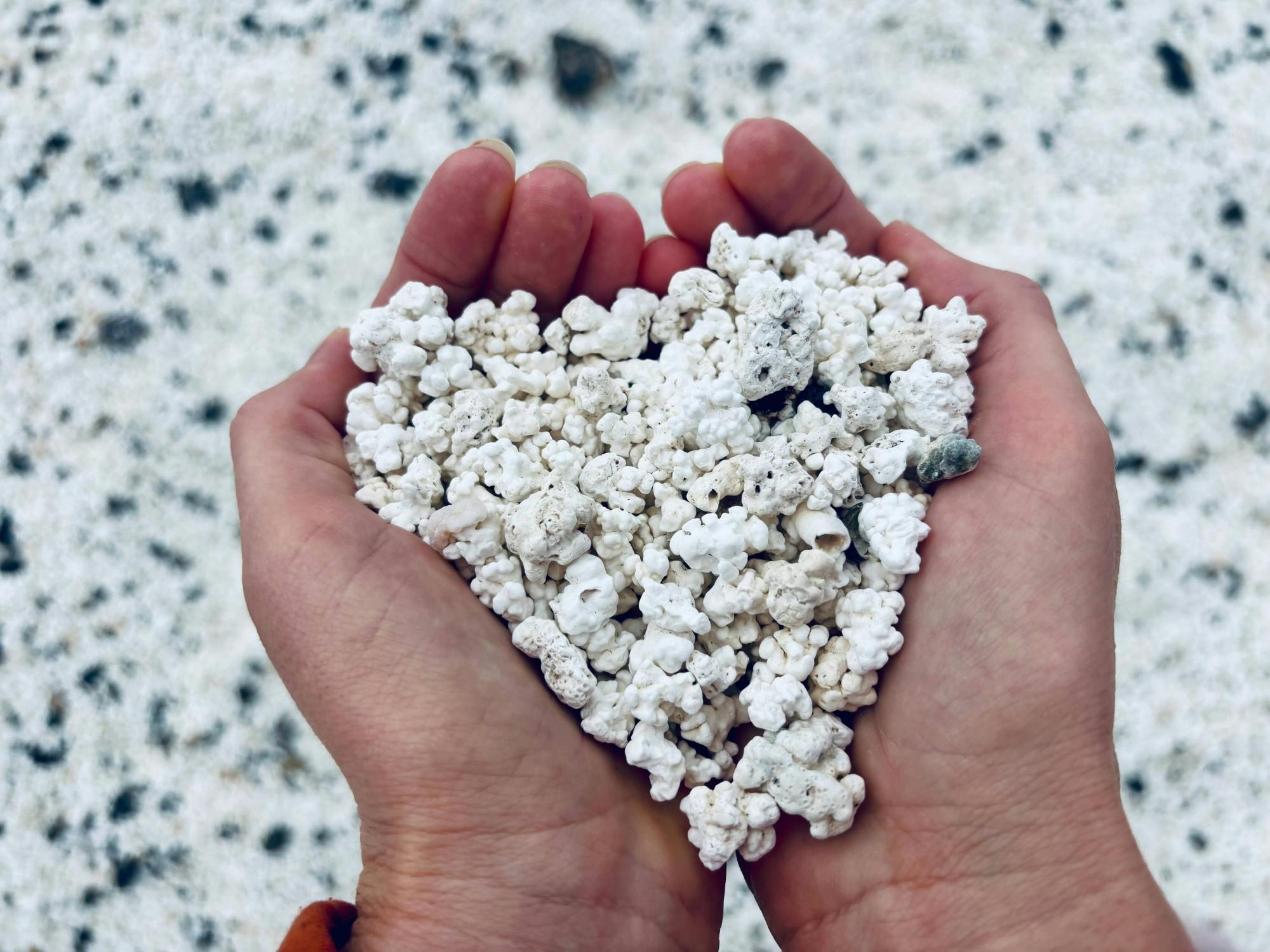 Full-day guided tour of Fuerteventura with Lobos Island by speedboat