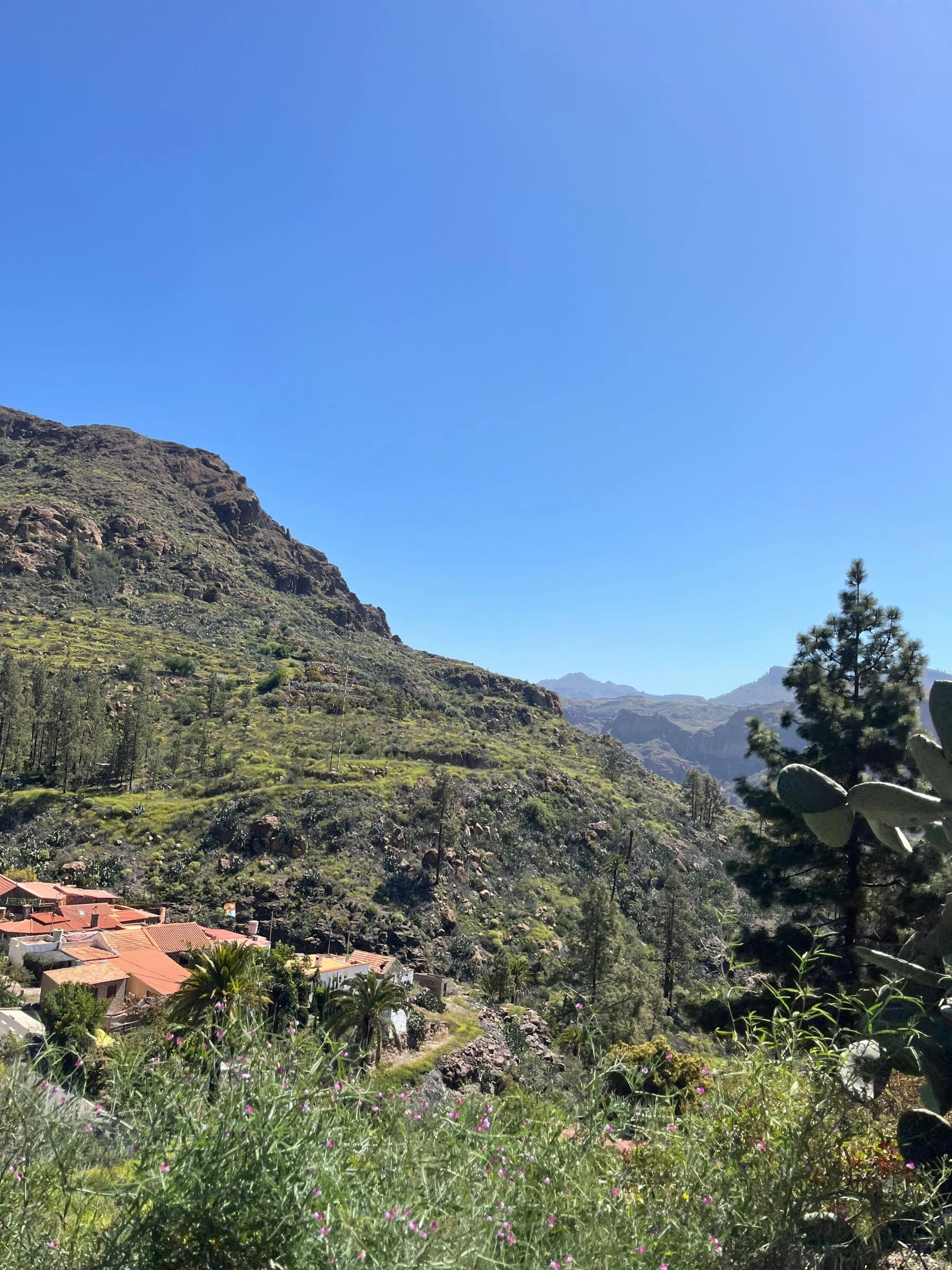 Gran Canaria 4x4 adventure with aloe vera farm visit
