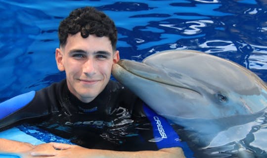 Billet d'entrée à Mundomar et rencontre avec les dauphins