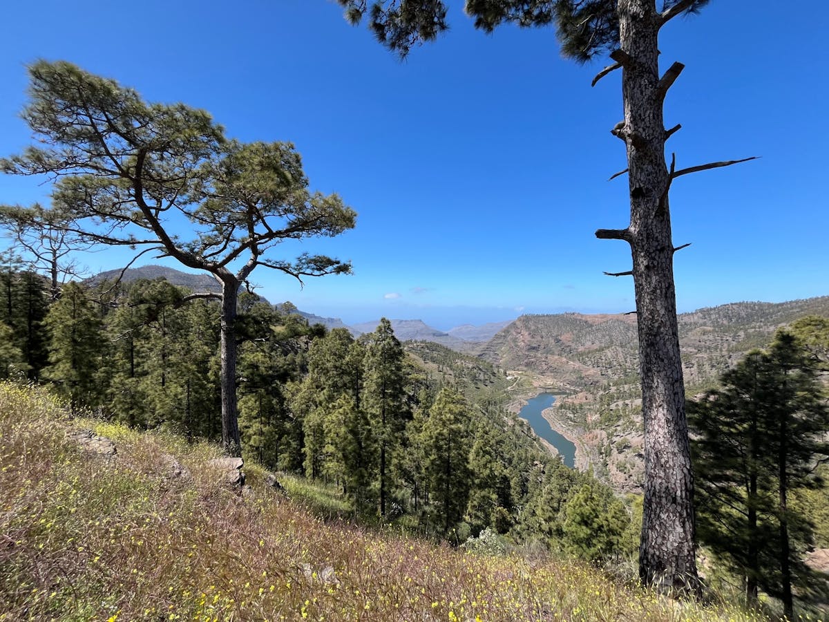 Gran Canaria 4x4 adventure with aloe vera farm visit
