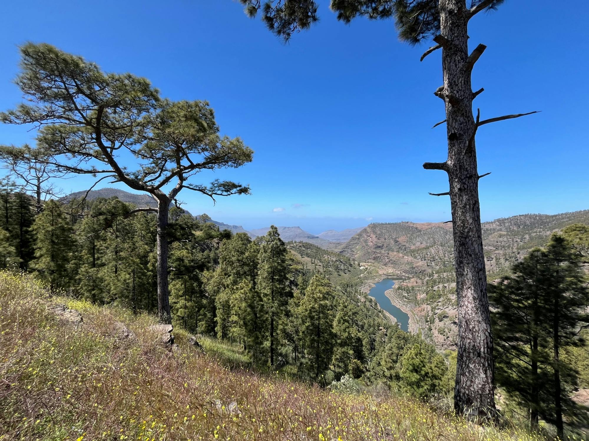 Gran Canaria 4x4 adventure with aloe vera farm visit