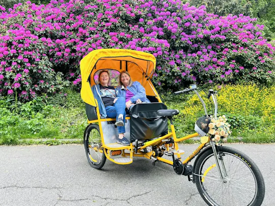 Guided pedicab tour through New York's Central Park