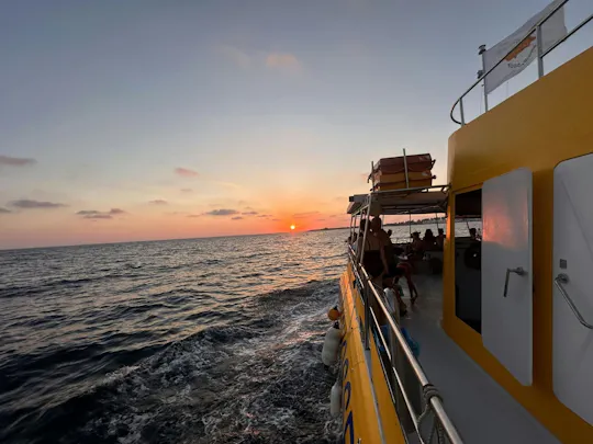 Crociera al tramonto, osservazione delle tartarughe e bevande illimitate da Paphos