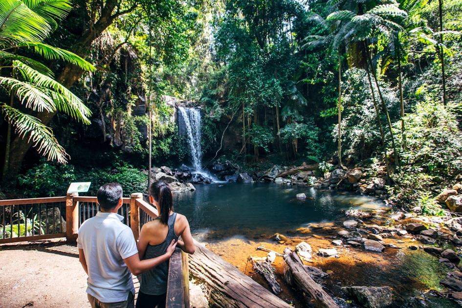 Drinks & Tastings in Gold Coast: Sip Your Way Through Queensland Drinks & Tastings in Gold Coast: Sip Your Way Through Queensland