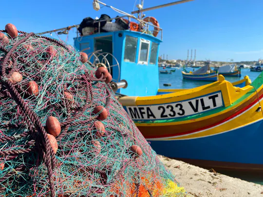 Mercado dominical de Marsaxlokk y Gruta Azul con guía local