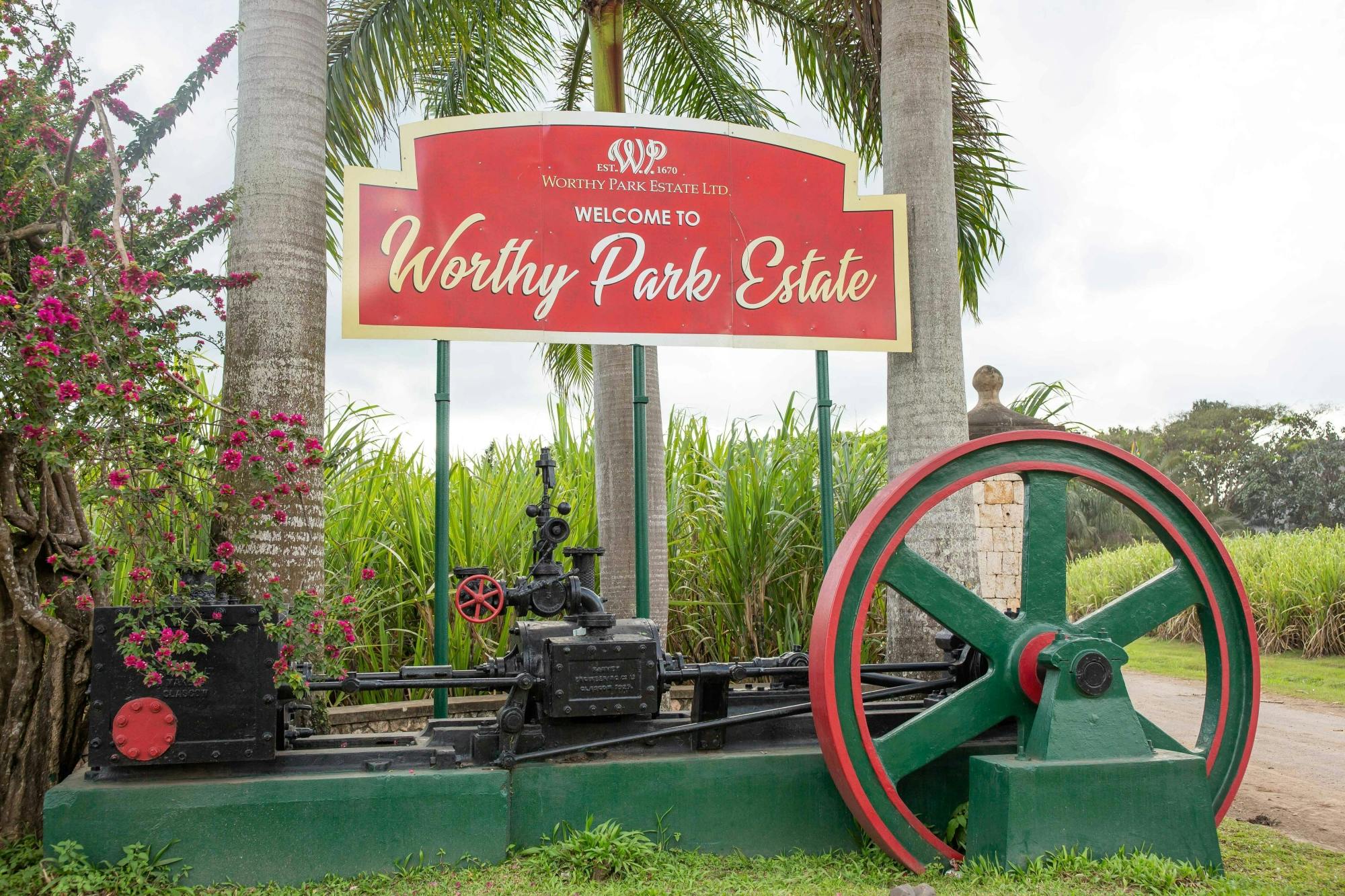 Adults‑only Worthy Park Estate rum tour