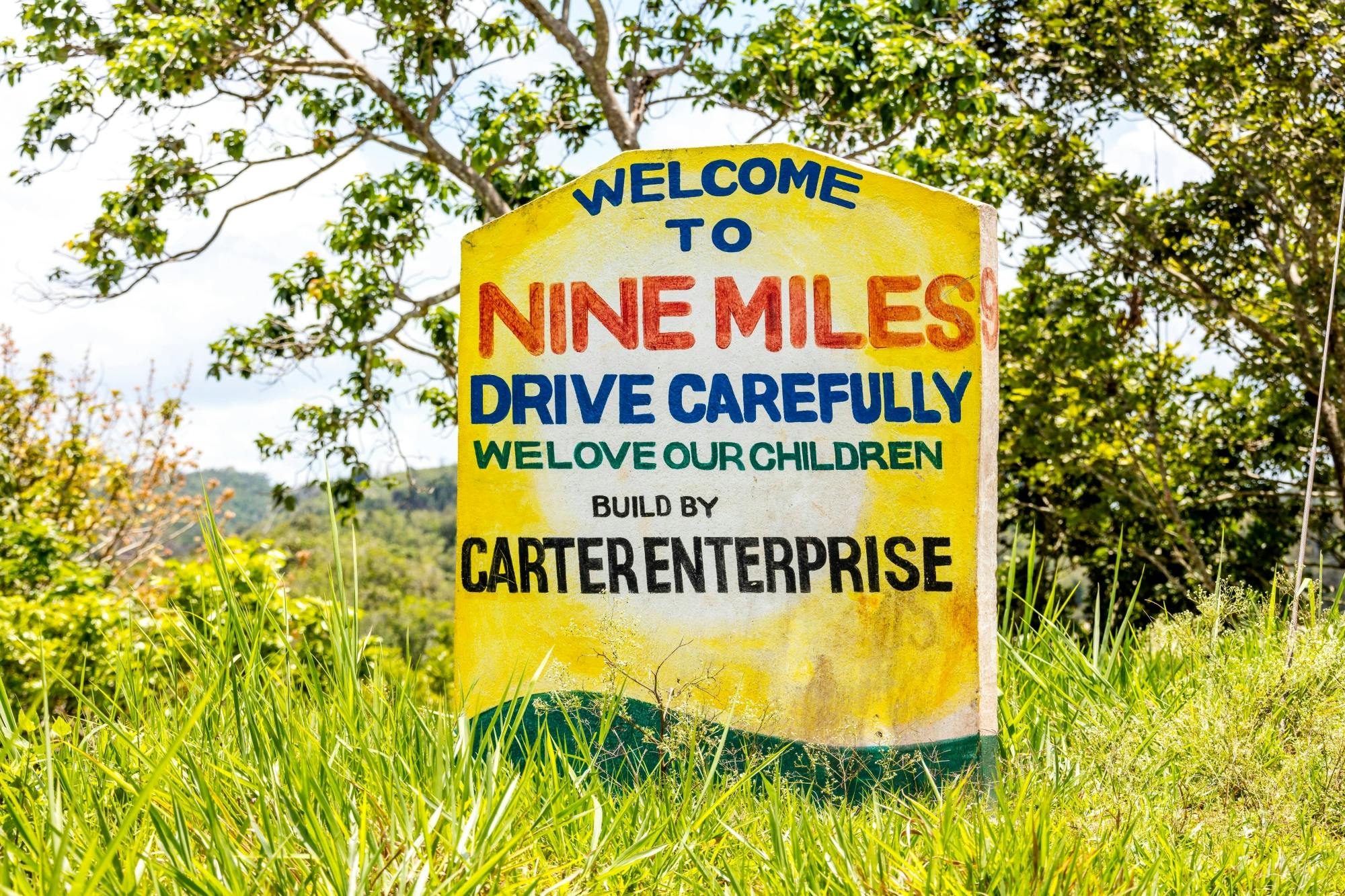 Dunn's River Falls & Nine Mile Tour