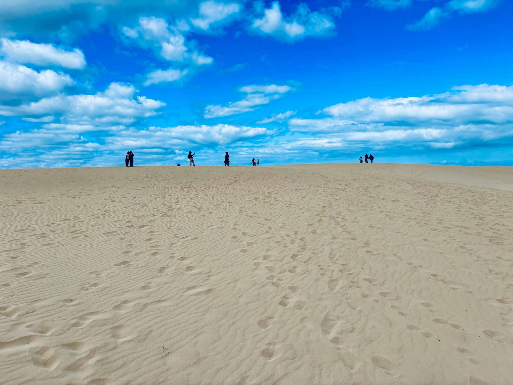 Full-day guided tour of Fuerteventura with Lobos Island by speedboat
