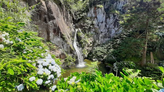 Guided adventure tour through nature and marine life