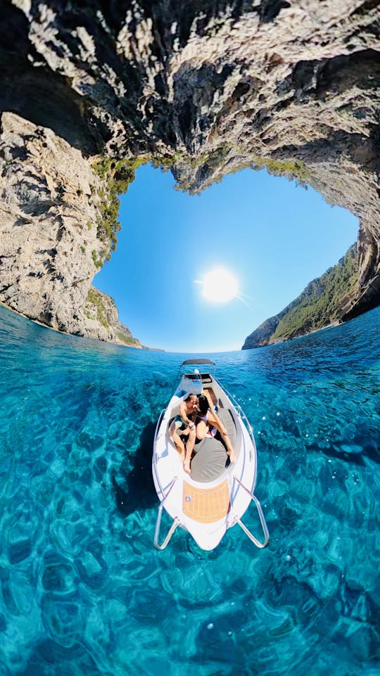 Sunrise dolphin watching and snorkelling tour in Mallorca