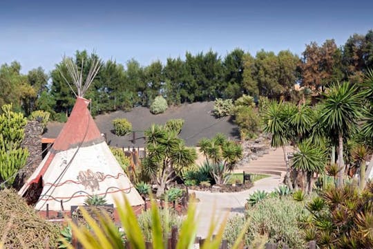 Rancho Texas Park mit Transfer und Mittagessen