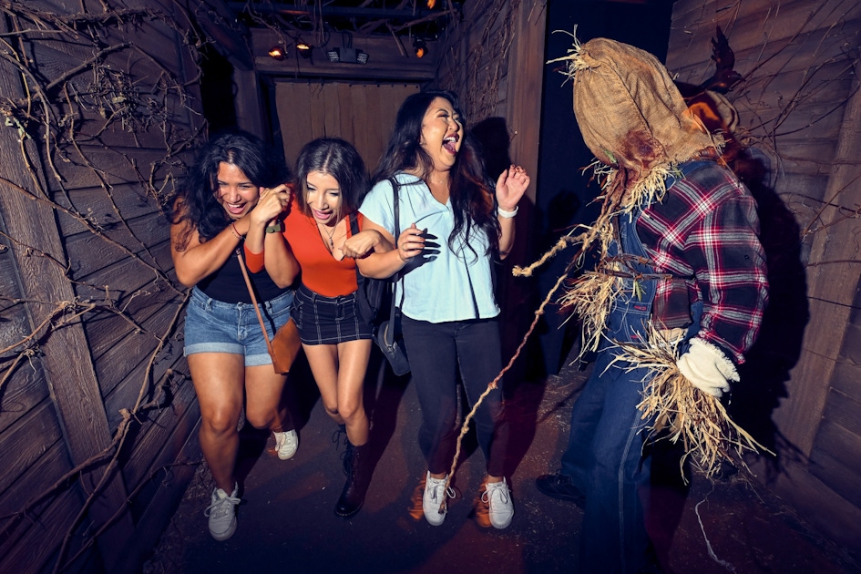 Universal Studios Hollywood Halloween Horror Nights | musement