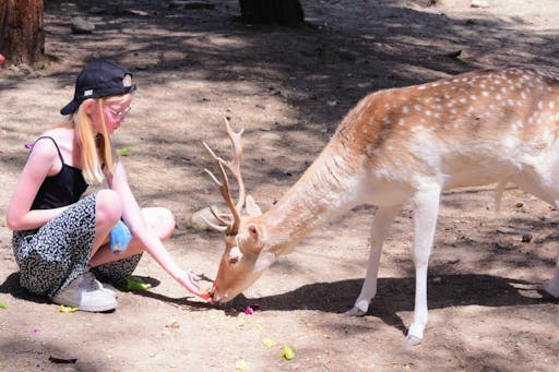 Turkey's Wonder Garden and tropical safari