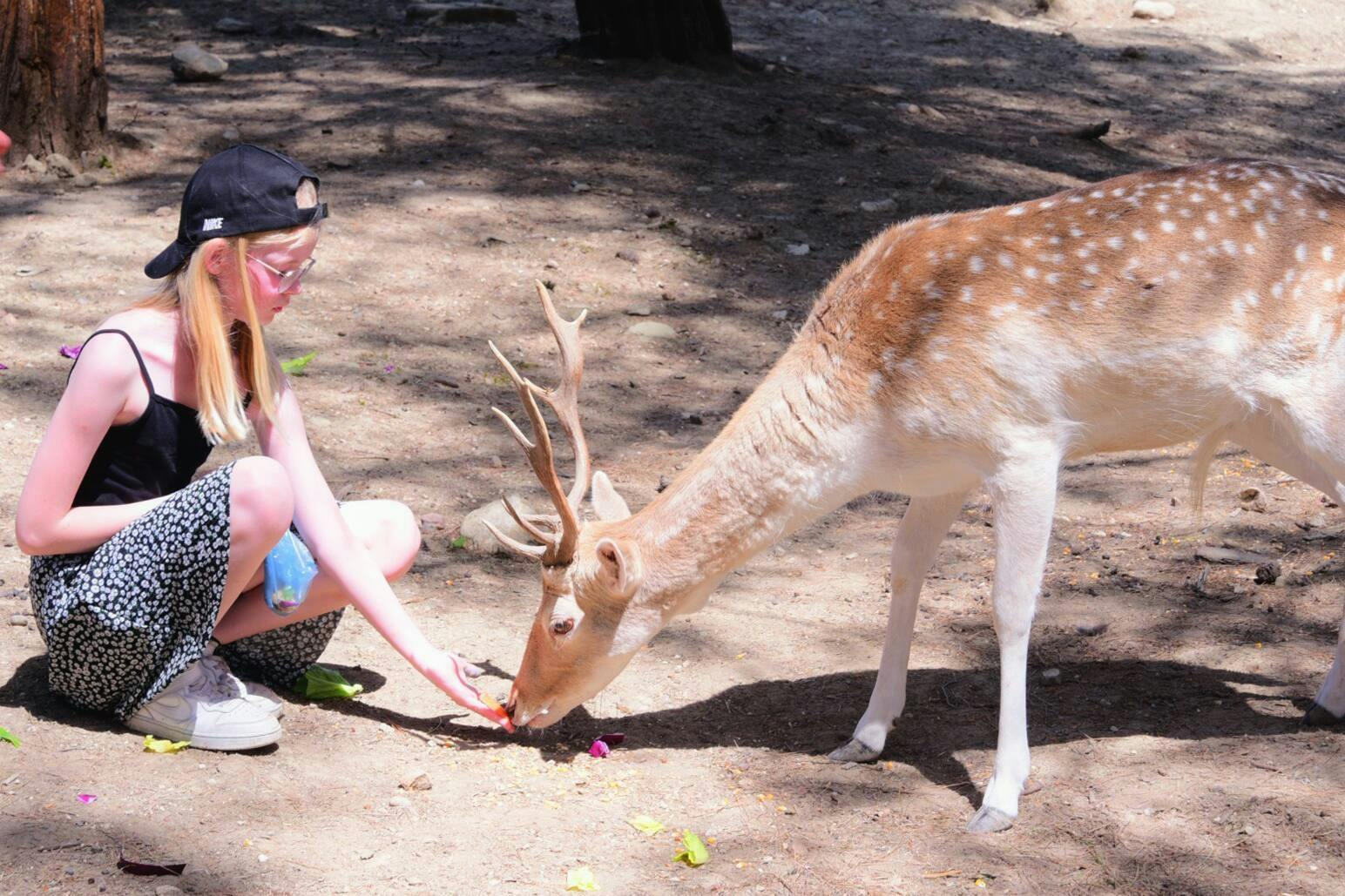 Turkey's Wonder Garden and tropical safari