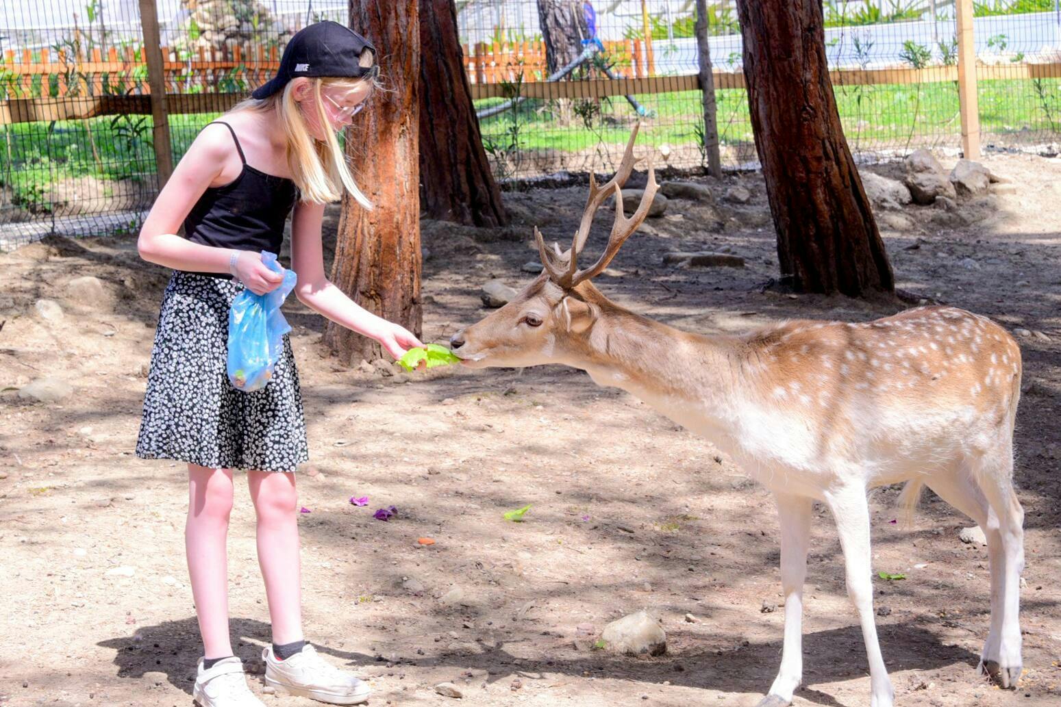 Turkey's Wonder Garden and tropical safari