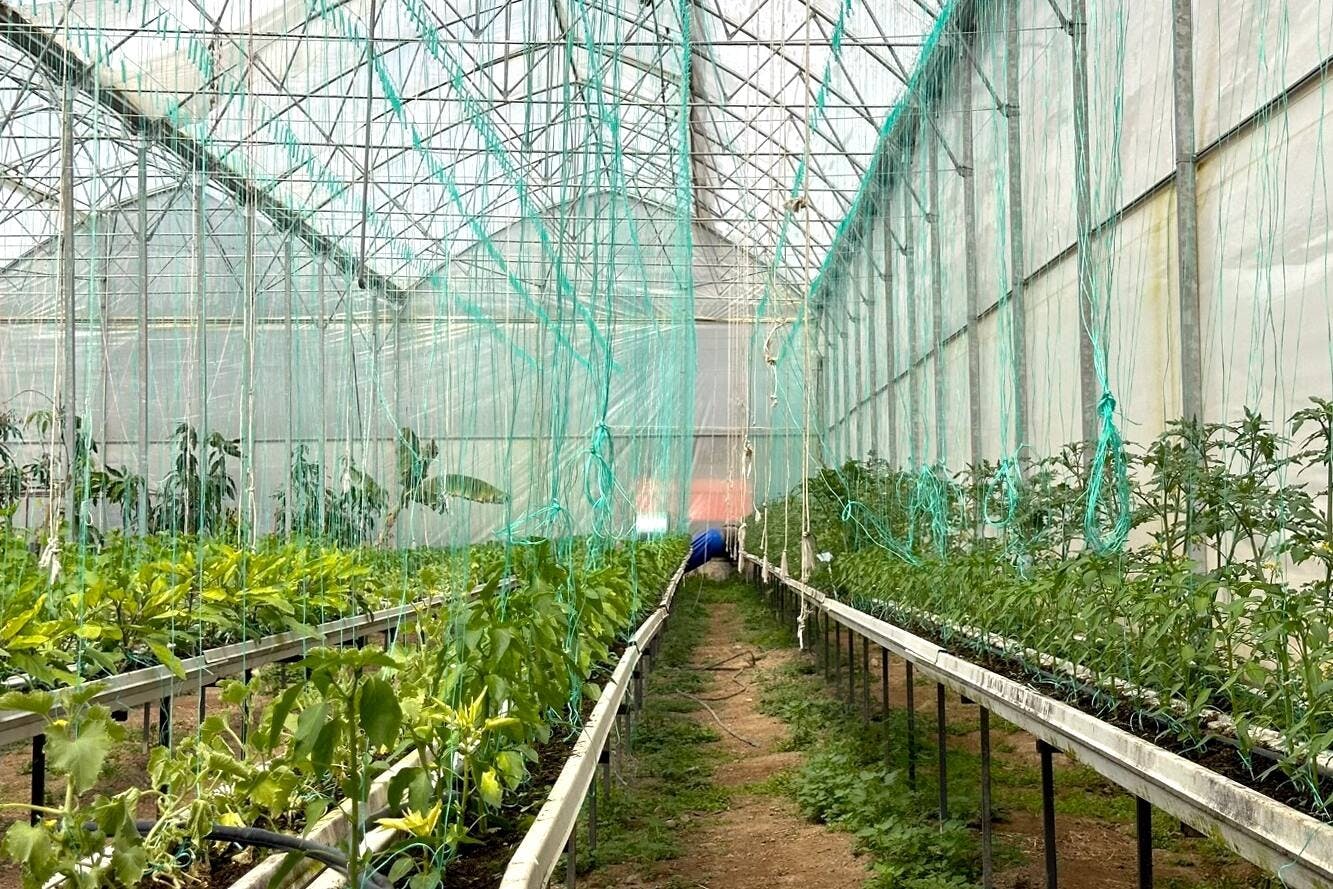 Turkey's Wonder Garden and tropical safari