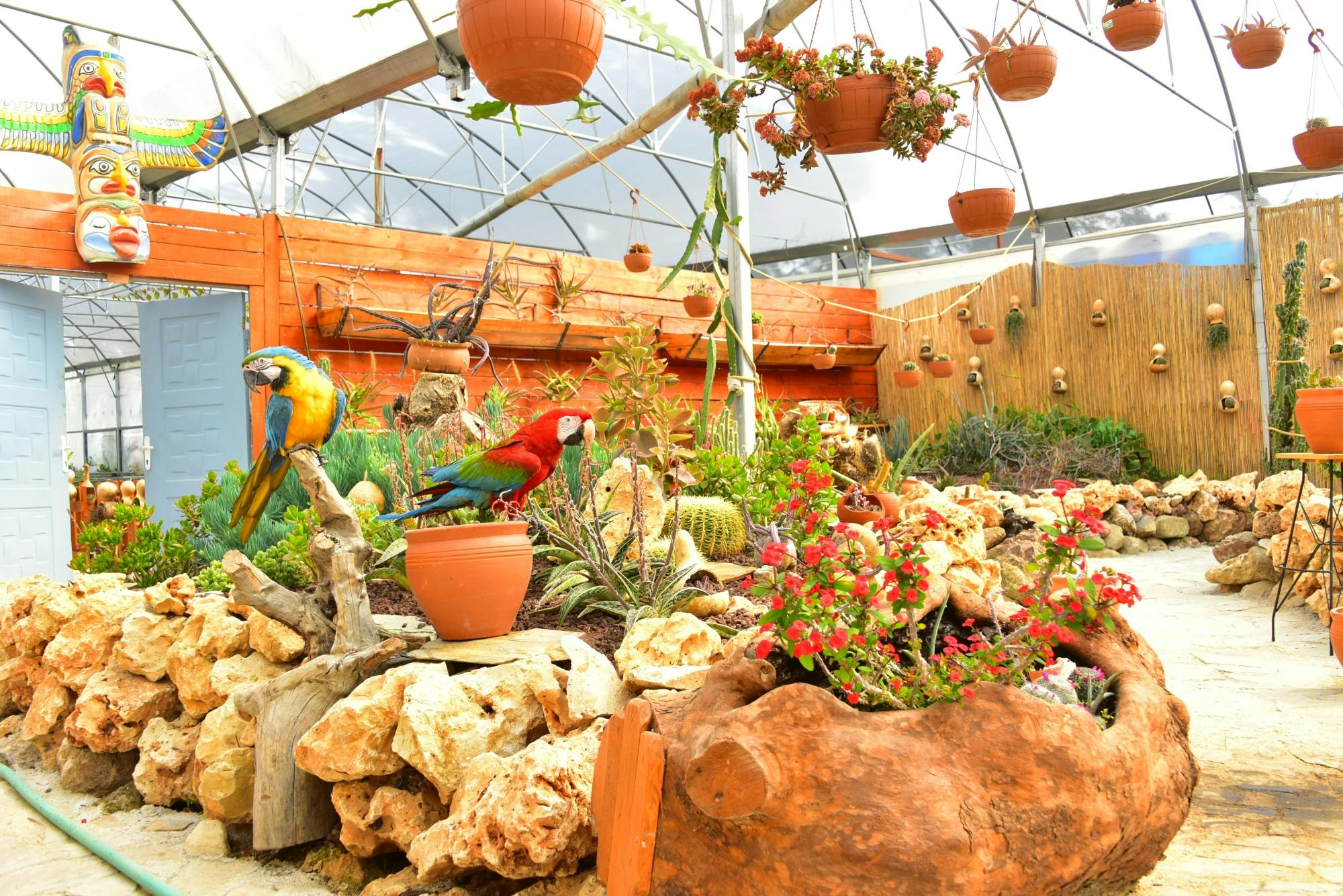 Turkey's Wonder Garden and tropical safari