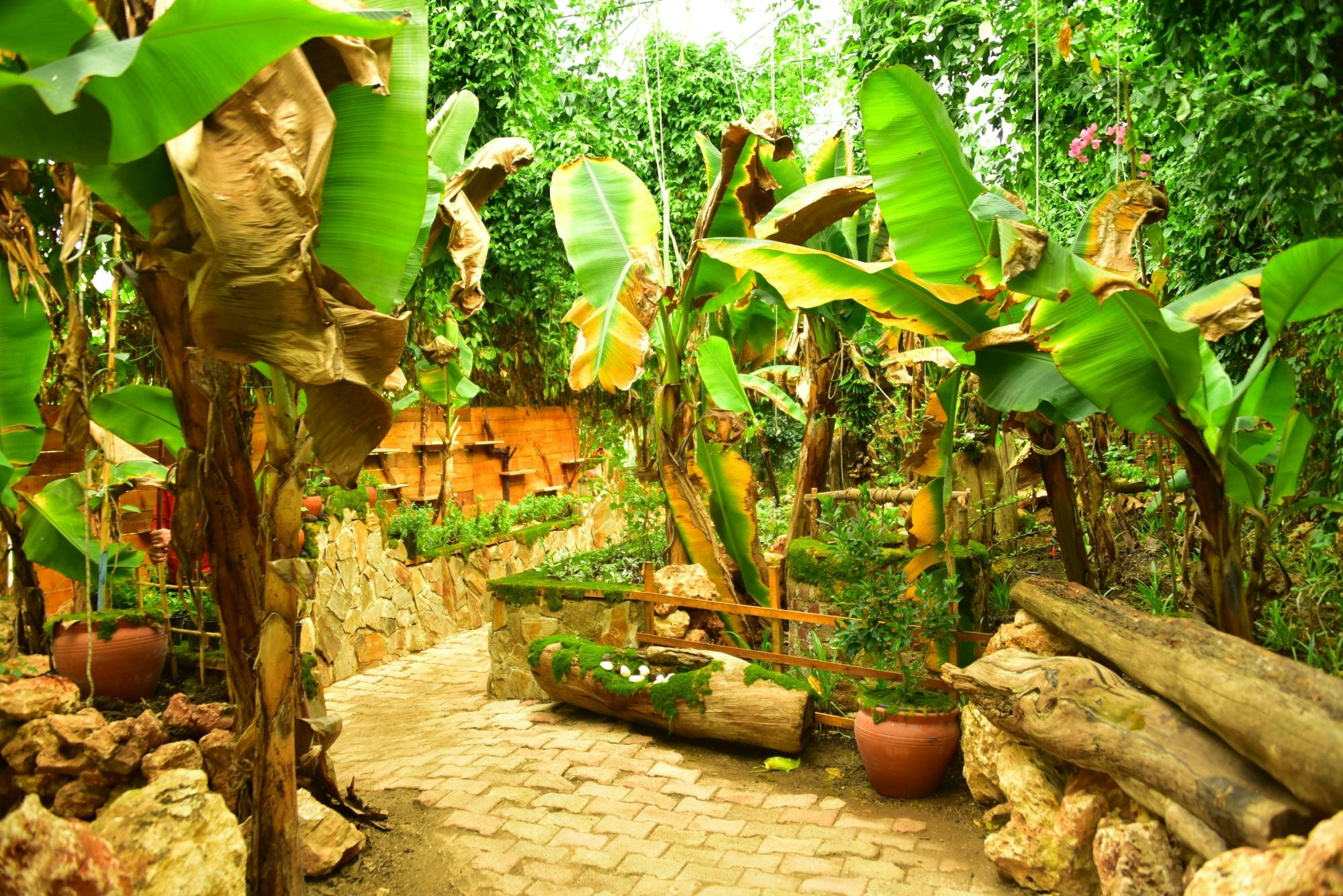 Turkey's Wonder Garden and tropical safari