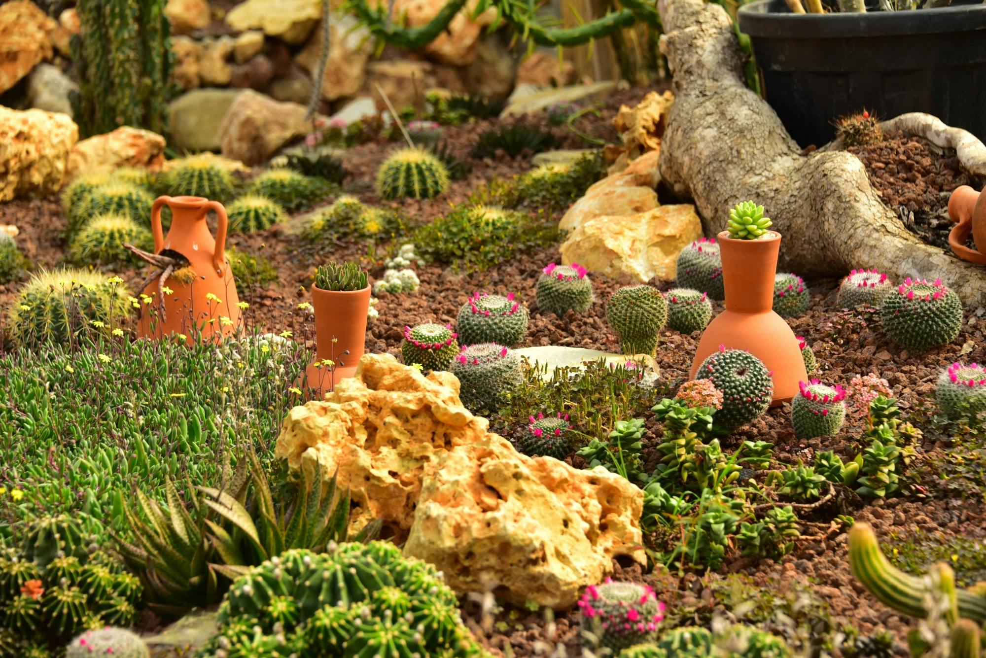 Turkey's Wonder Garden and tropical safari