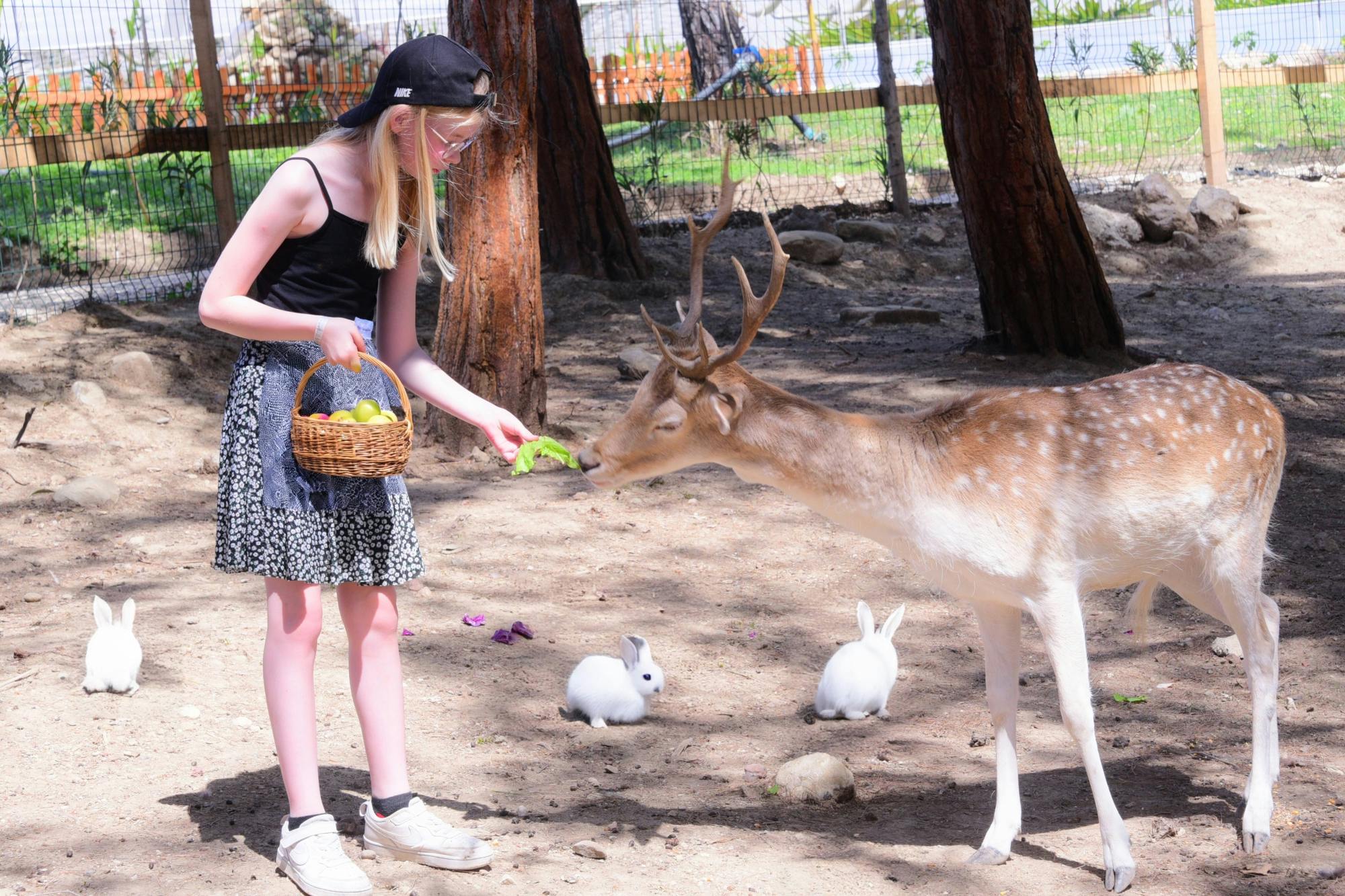 Turkey's Wonder Garden and tropical safari
