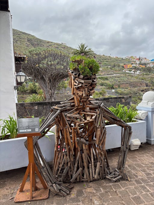 Sites & Bites: Icod de los Vinos and La Orotava’s bananas and wine