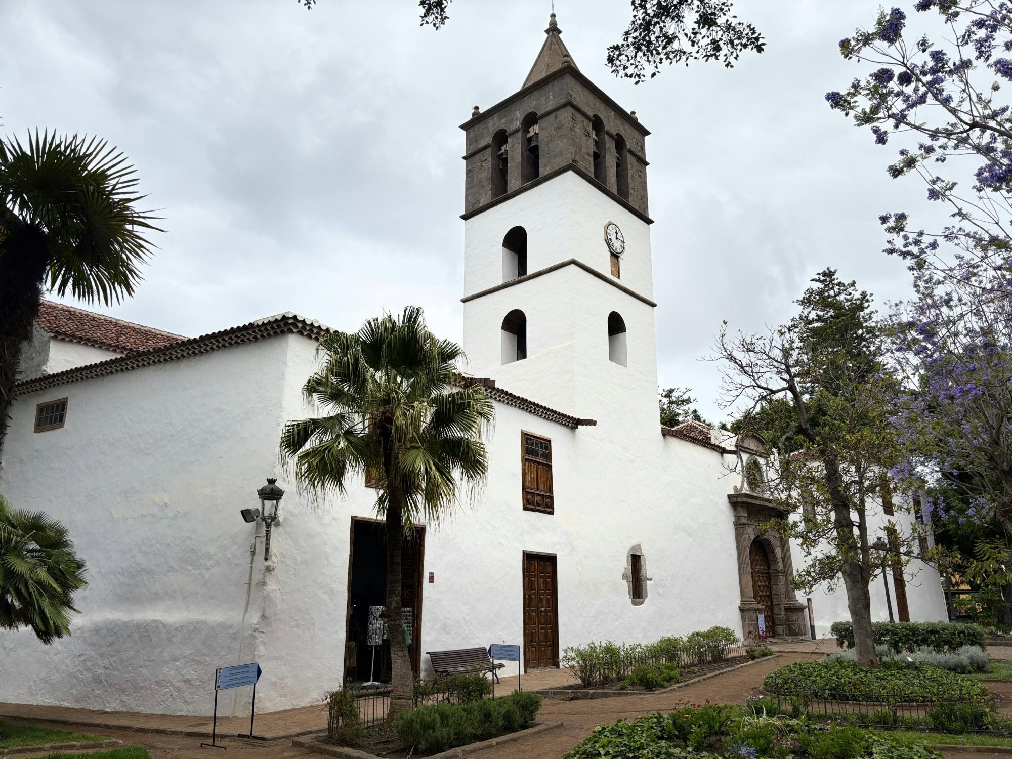 Sites & Bites: Icod de los Vinos and La Orotava’s bananas and wine