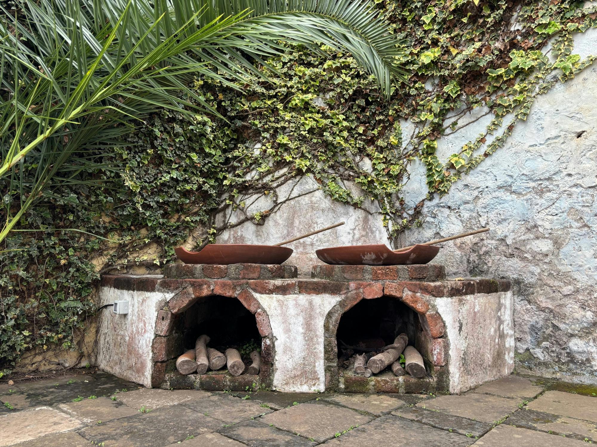 Sites & Bites: Icod de los Vinos and La Orotava’s bananas and wine