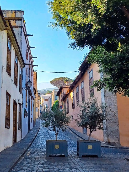 Sites & Bites: Icod de los Vinos and La Orotava’s bananas and wine