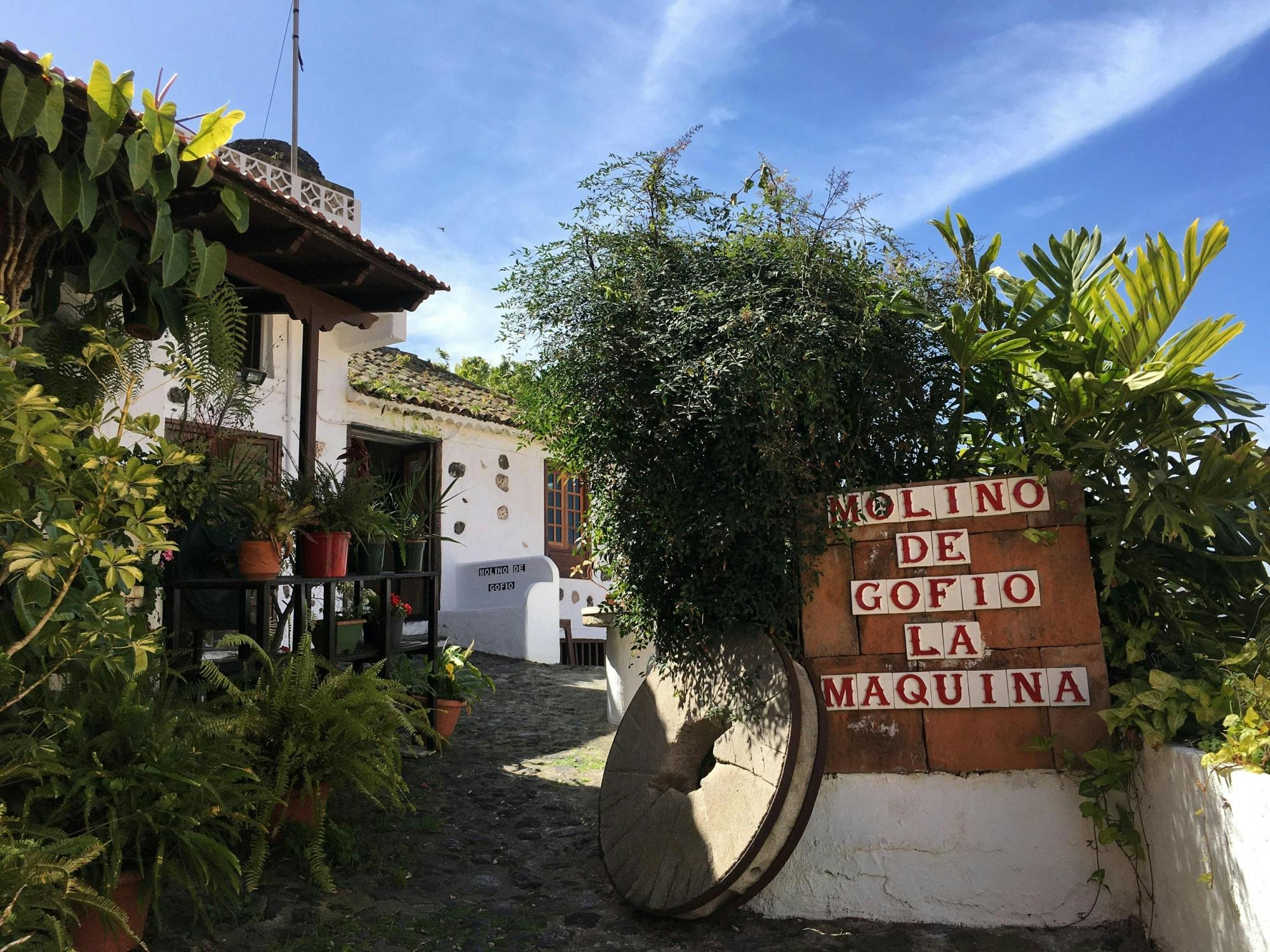 Sites & Bites: Icod de los Vinos and La Orotava’s bananas and wine