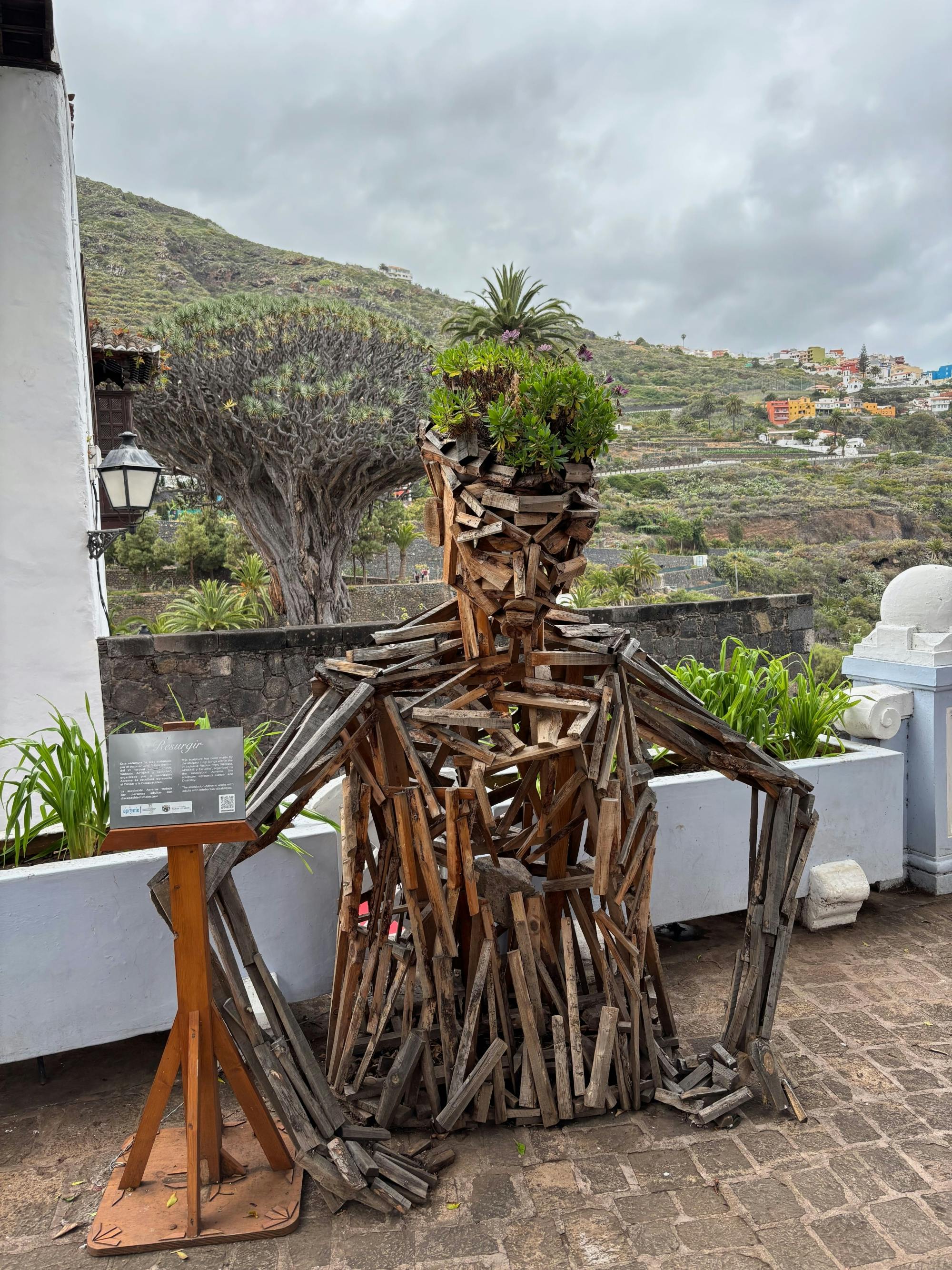 Sites & Bites: Icod de los Vinos and La Orotava’s bananas and wine