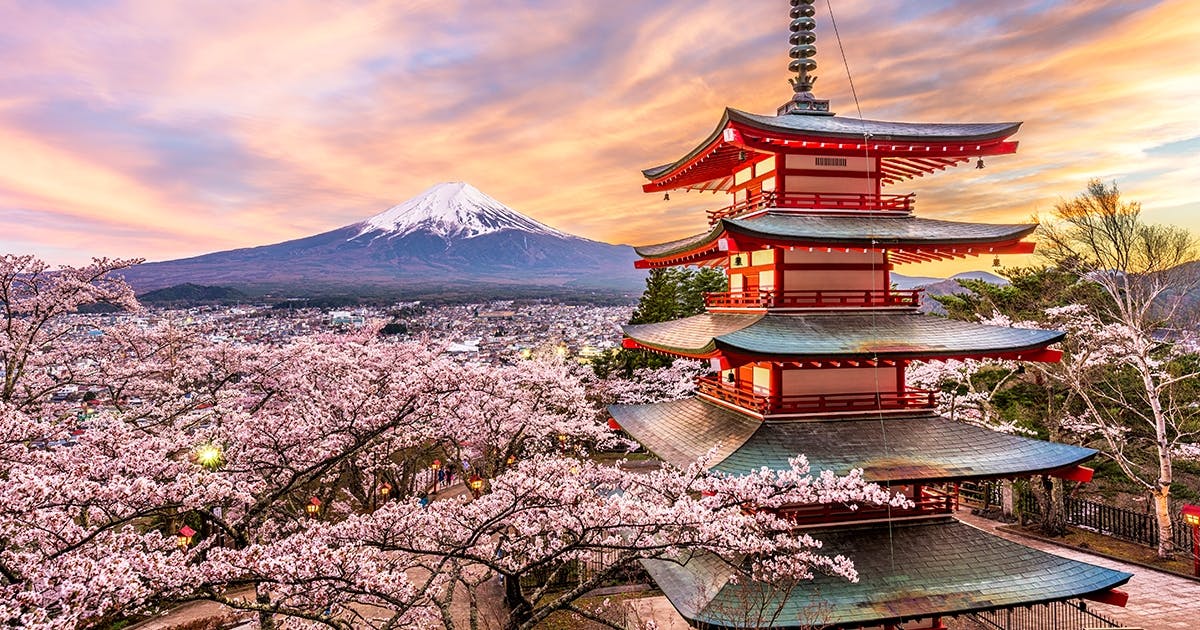 Tour to Mt. Fuji Area, Oshino Hakkai and Kawaguchi Lake from Tokyo