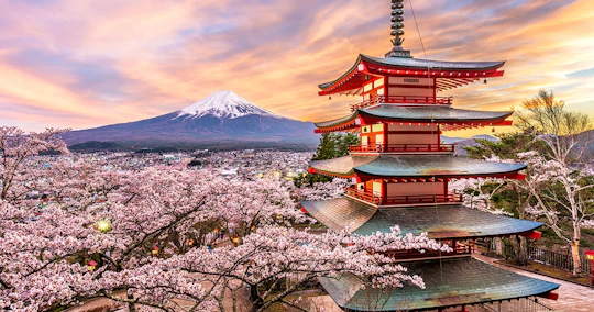 Tour to Mt. Fuji Area, Oshino Hakkai and Kawaguchi Lake from Tokyo