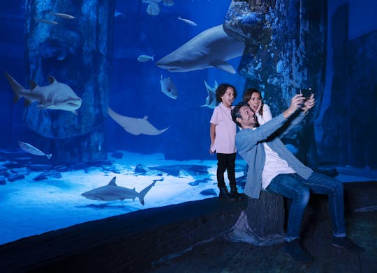 LEGOLAND® California e SEA LIFE® Aquarium - Entradas para 2 dias